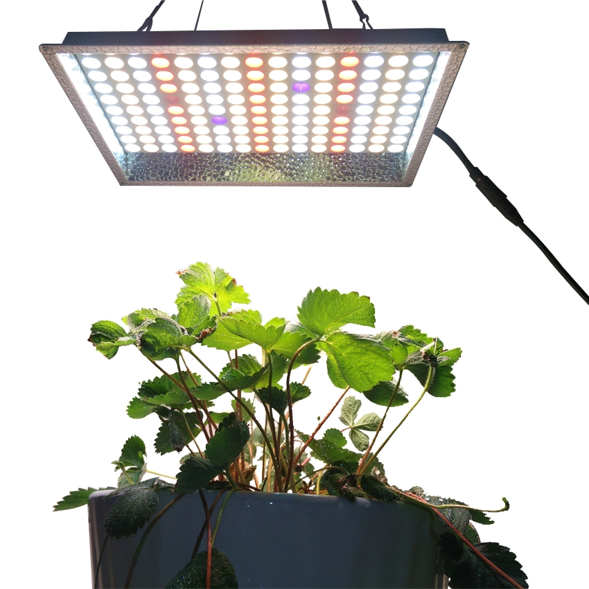 LED Grow Light Full Spectrum Hydroponic Indoor for Veg Flower