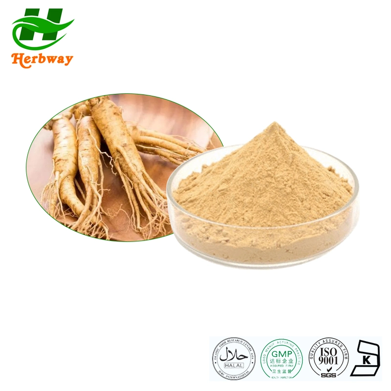 Herbway Plant Extract Improve Immunity Korean Red Ginseng Extract Powder Health Supplement Ginseng Root Extract