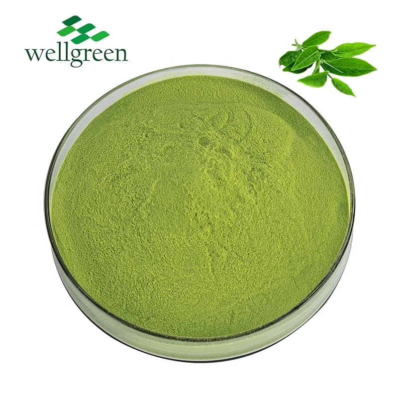 Factory Directly Japanese Matcha Tea Matcha Japan Organic Matcha Powder Ceremonial