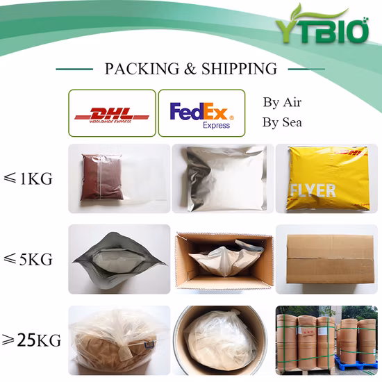 天然ブルーベリージュースパウダー ブルーベリーパウダー フルーツジュースパウダー