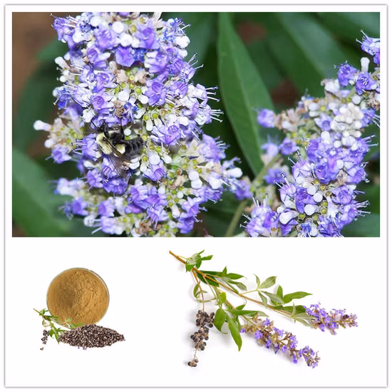 工場供給天然フルーツエキスキンカンフルーツパウダー